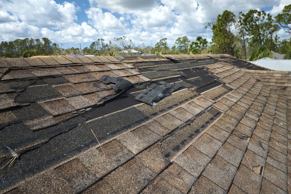 Roof Damage Repair Service
